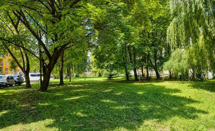 KOMPLETNE ZREKONŠTRUOVANÝ 1-IZBOVÝ BYT, PREŠOV – SÍDLISKO II  - fotografia 13