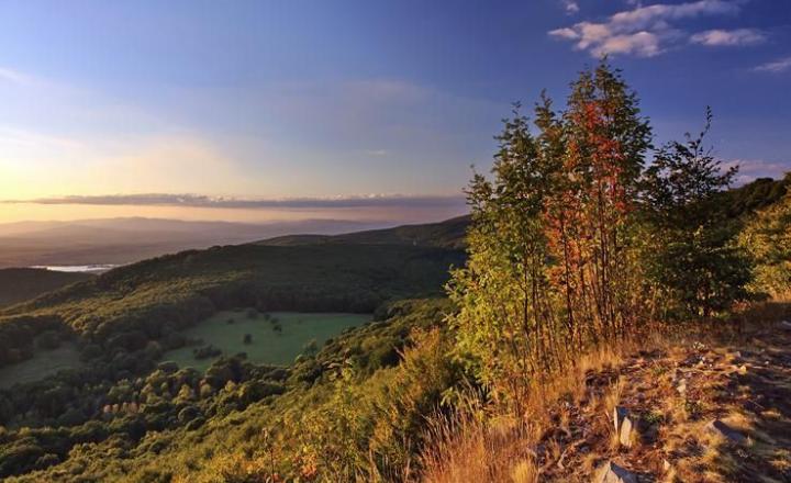 Rodinný dom pri lese – Holloháza - prvá obec za hranicou SR (od Košíc) - fotografia 18